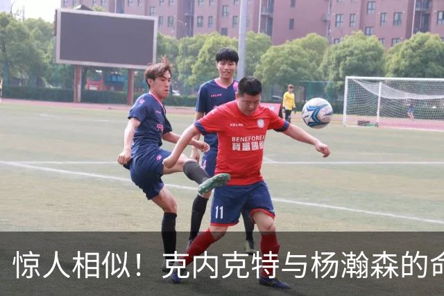 惊人相似！克内克特与杨瀚森的命运交错